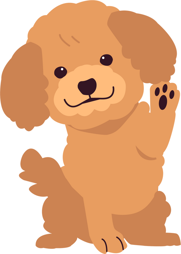 The Collection of Poodle in Many Action. Graphic Resource about Set of Dogs Poodle for Graphic, Content, Etc.
